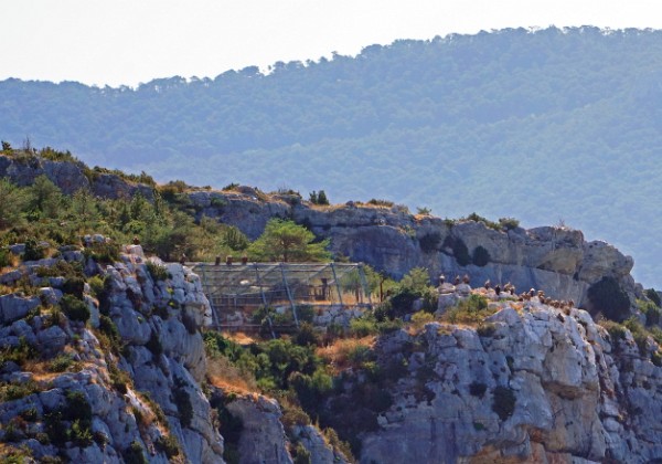 2019-07 Gorges du Verdon